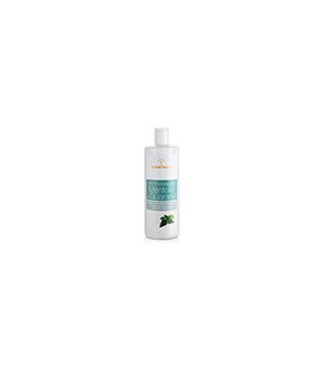 Massage olie Menthol Xanitalia PREMIUM - 500 ml