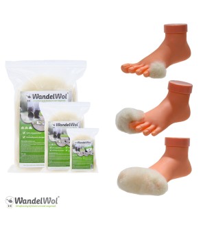 Wandelwol Startset assortiment