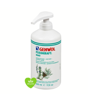 Gehwol Fusskraft Mint met pomp 500ml