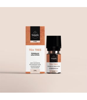 Tea Tree (Melaleuca alternifolia) - 10ml