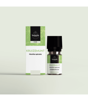 Kruizemunt (Mentha spicata) - 10ml